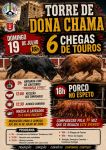Chega de Touros